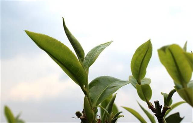 ��������ص㣺�����ն�����ص㡢���չ�������ص�