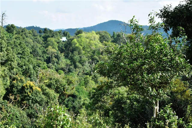 �º��ؿ���ۣ��º��ؿ����������Ǯһ��