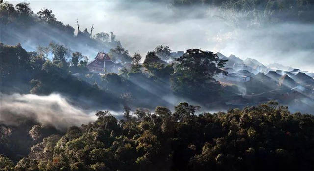 ����������԰ͼƬ(ͼ1)