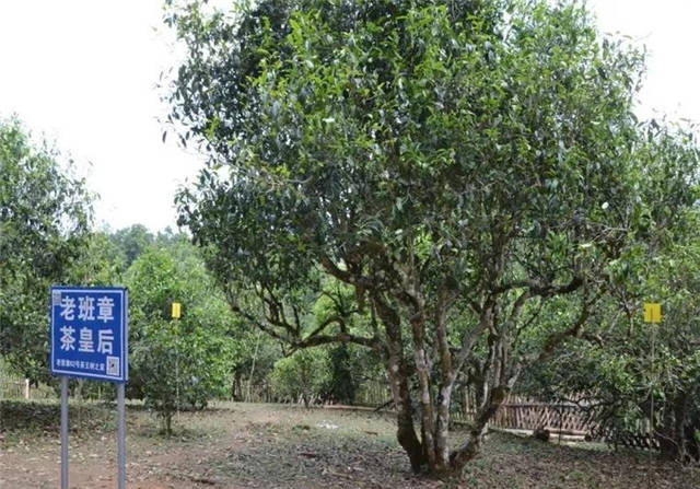 �ϰ���Ϊʲô�۸��