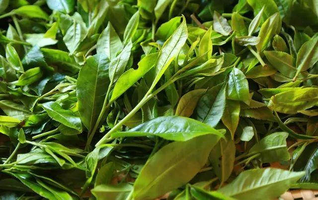 ��������ϰ��²�����䣿