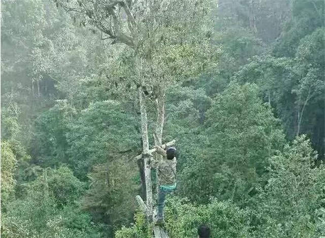 ���ϹŲ�԰����Щ��ʲô�ǹŲ�԰��