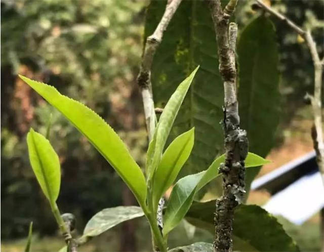 �����ն������Ǯһ��