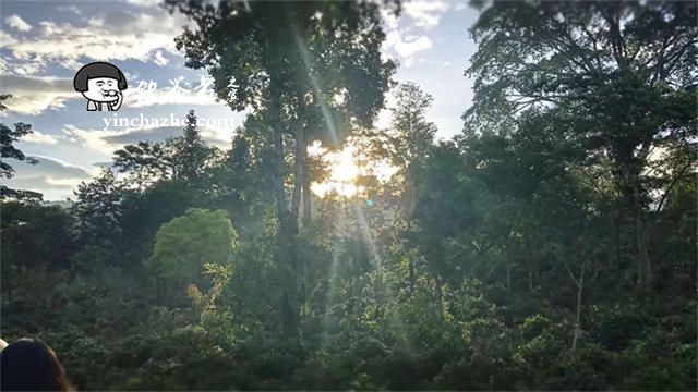 ���ش�ɽ�ն�����ô��:��ɽ�ն���۸�