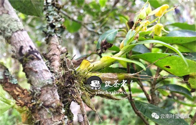 ���ֹŲ�ɽ������:����ɽ�����ĸ�����