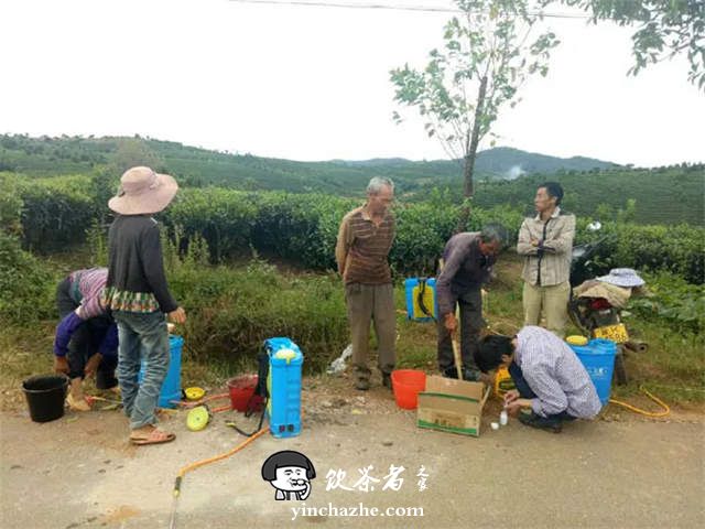 茶叶所赴大渡岗开展茶园双减项目工作