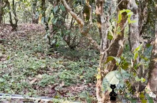 �������ն����ص㣬�����������һ������