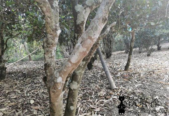 ����ɽ�ն�����ص�