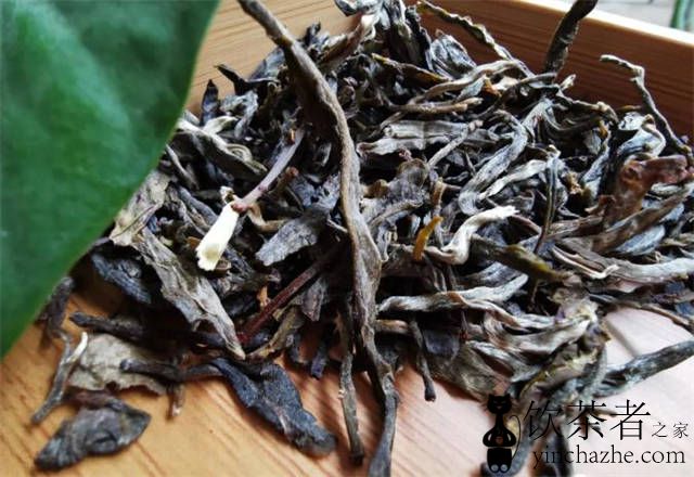 �𿪵��ն������ô��ţ��𿪵��ն�����ԷŶ�ã�