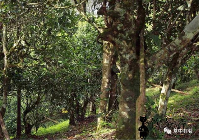 �ն������ô�����ģ��ն�����������գ�