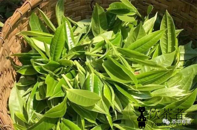 �ն������ô�����ģ��ն�����������գ�