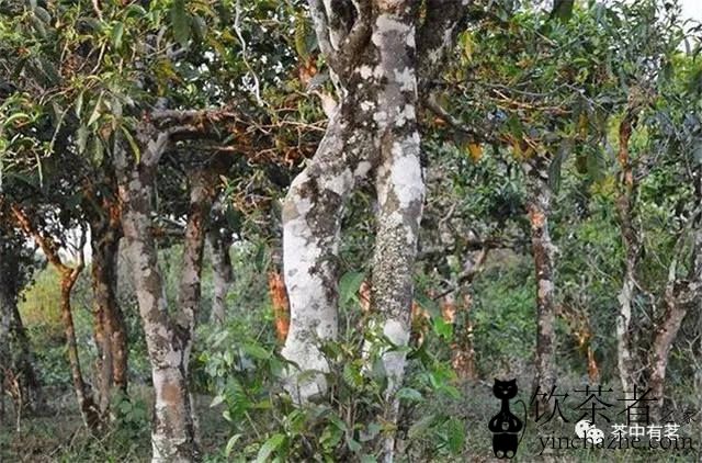 �ն�������ʲô�裿��ô�����ģ�