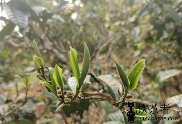 �ն�����������������