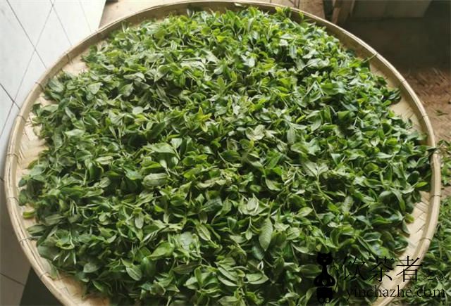 �ն�����������������