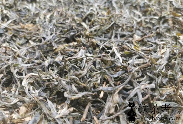 �ն�����������������