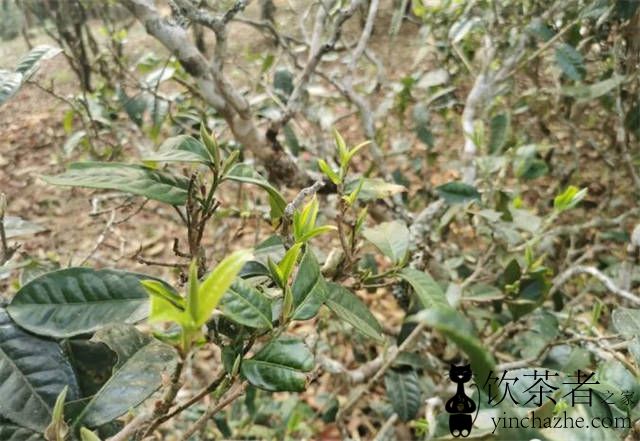 �ն���������������