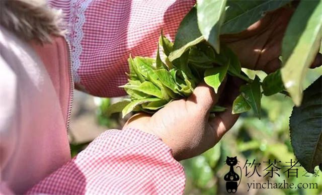 �ն����Ϊ�������裬����ʲô�����������ն��裿