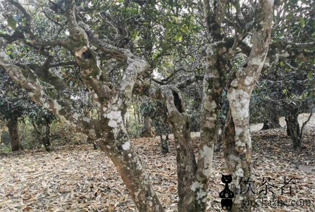 ʲô���ն��裬�ն���Ĺ��궨����ʲô��