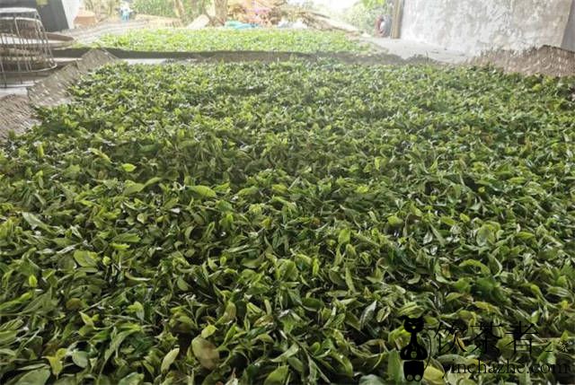 ʲô���ն��裬�ն���Ĺ��궨����ʲô��