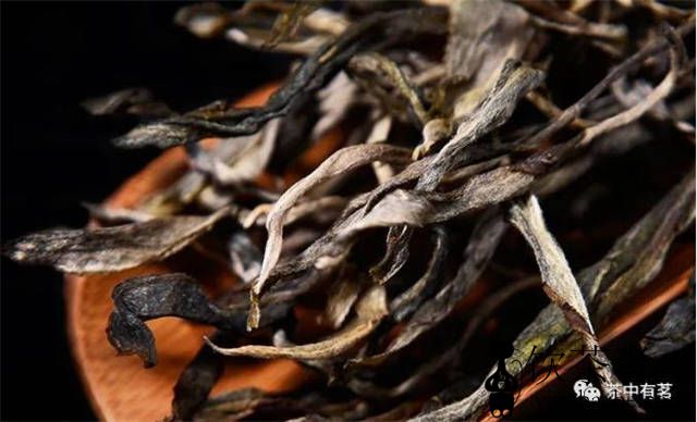 �ն�����������̬������ʲô��