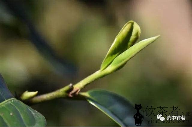 �ն�����˻�ʧ����