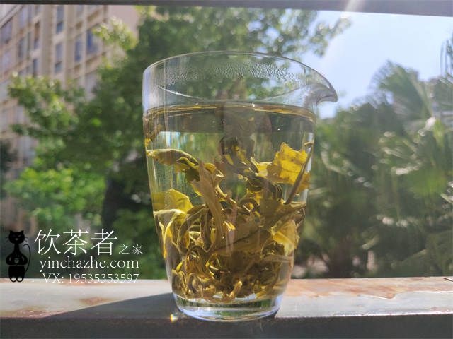 �ǲ���Խ��Ĳ�ҶԽ�úȣ�