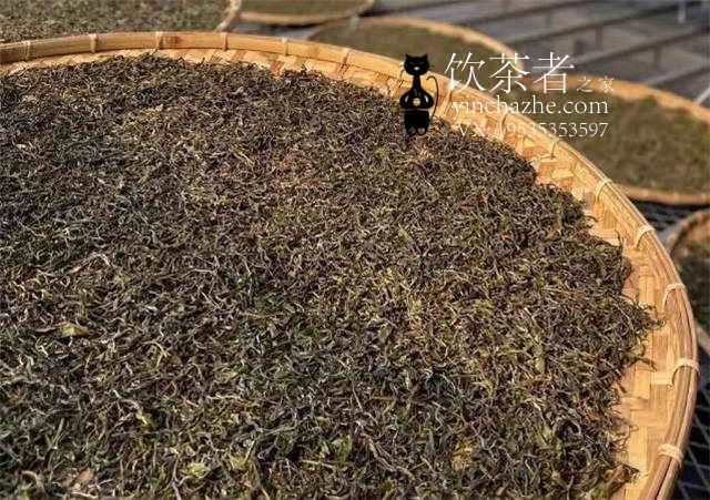 2022年易武和倚邦春茶预售报价