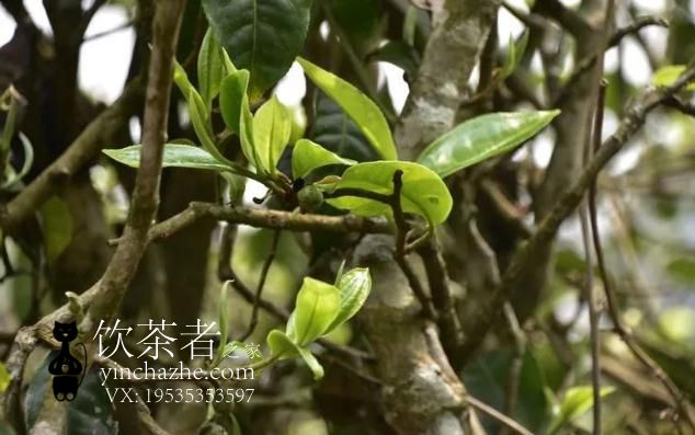 2021��ؿ��ն���������۸����Ǯһ�