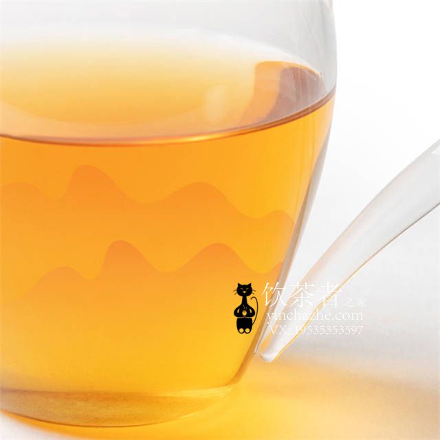 2020����� ���츣�� ���� 357��