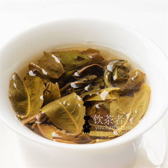 2020����� ���츣�� ���� 357��