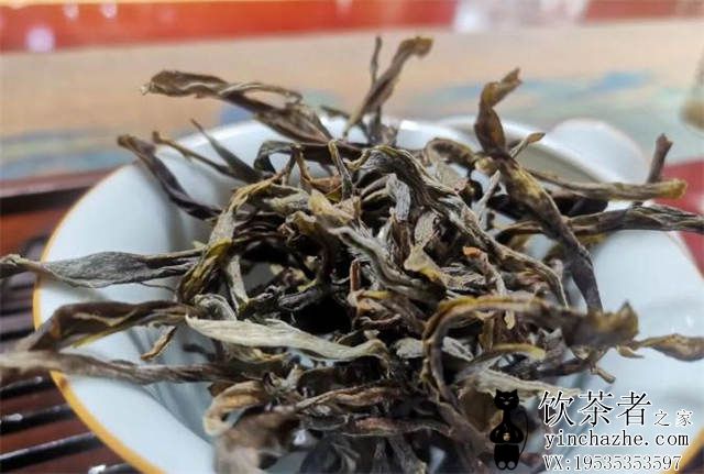 ʲô���ն����ϻ�Ƭ��