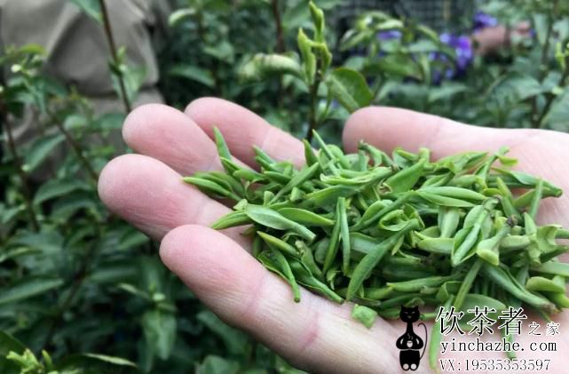 �̲�����ЩƷ��