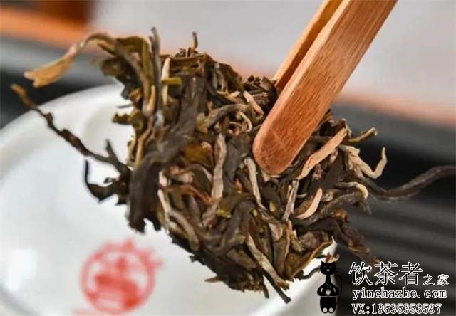 �ն�������Ѳ�