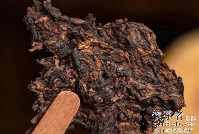 �ն�������Ѳ�