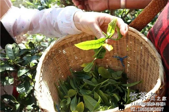 �ն����費��Ҫ�ű��䱣��