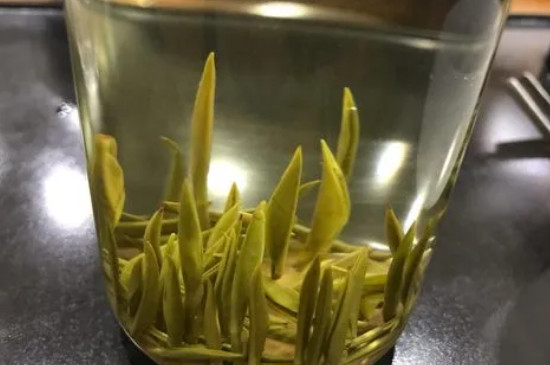 君山银针等级和价格,湖南君山银针茶价位