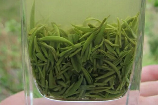 ȸ�����Ҷ�������ȸ��Ա���Ҷ��ͼƬ