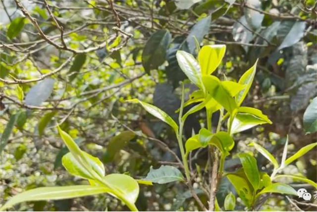 �ն���ũ���賧����ô�����Դ������г��أ�