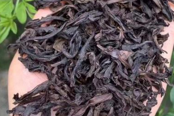 ���������ʲô�裬��������ں����