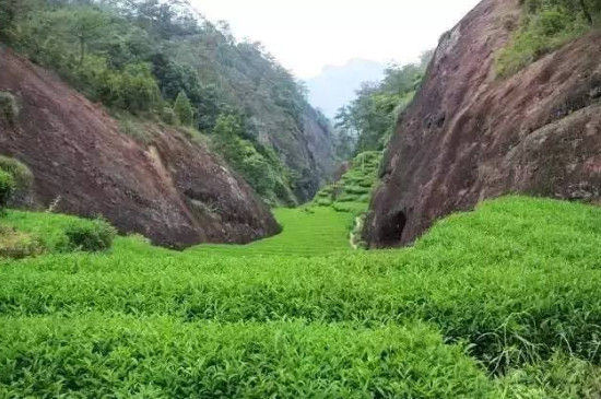 ����������ʲô��˼�������������һ��һ��ָ����ʲô��