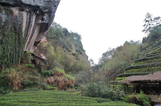 ����������ʲô��˼�������������һ��һ��ָ����ʲô��