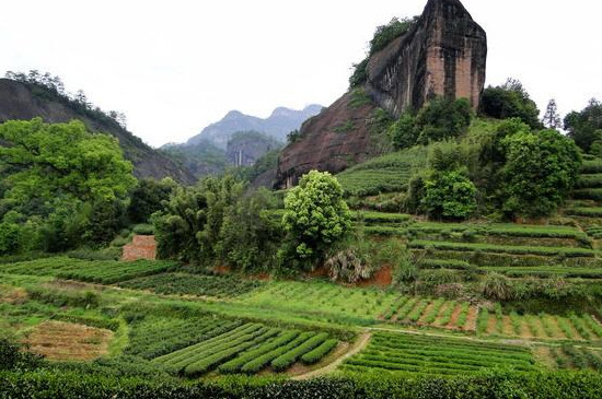 ����������ʲô��˼�������������һ��һ��ָ����ʲô��