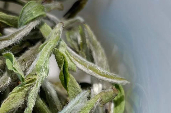 ���ʮ�������������õ�Ʒ����ʲô��