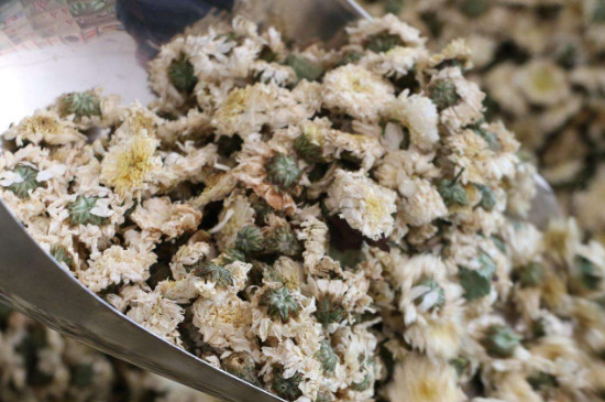 菊花茶买小朵还是大朵,泡茶用的小菊花和大菊花哪个好?