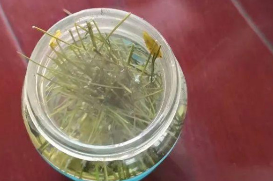 ��������������������������ɶ���ã�