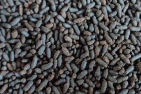 ��ʺ��Ľ��ɣ��ȳ�ʺ���ע������