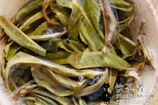 ϲ���Ȳ��Ů��Ϊʲô���򵥣������Ů�˶���һ����ͬ��