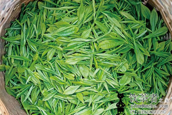 �������裬����ʲô��Ҷ�Ƚϳ�����