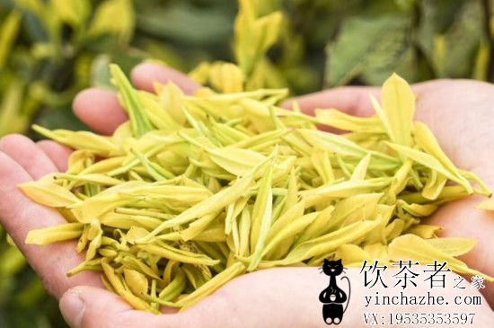 ��»ƽ�ѿ��Ҷ�۸񣬹�»ƽ�ѿ����Ǯһ�