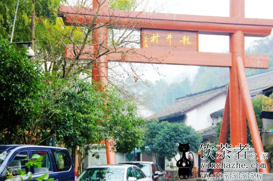 �������������ƭ����������������ƭ�ֽ��أ�